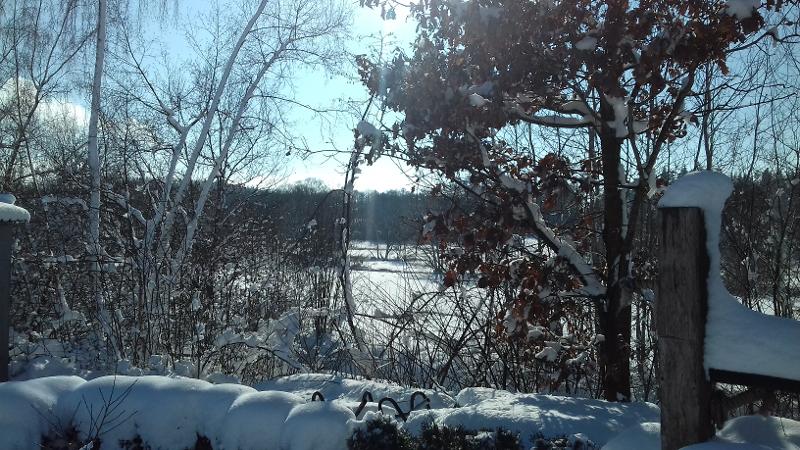 GER00020062195315704_sized_800_0